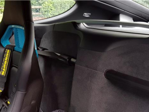 Lightweight 2 point harness bar, Black. Porsche 981 Cayman / 718 Cayman - 950, 950/00